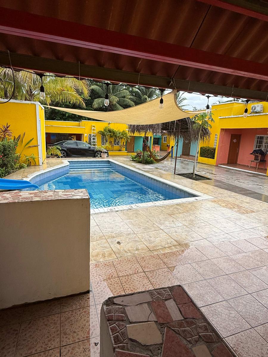 La Casa Amelia photo 2