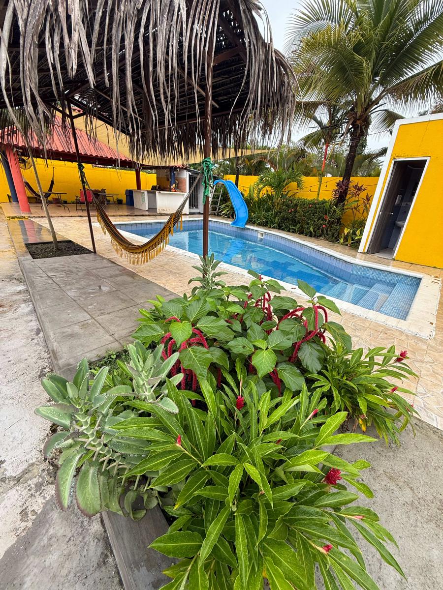 La Casa Amelia photo 3