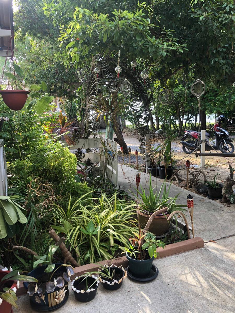 The Summer House Samui photo 4