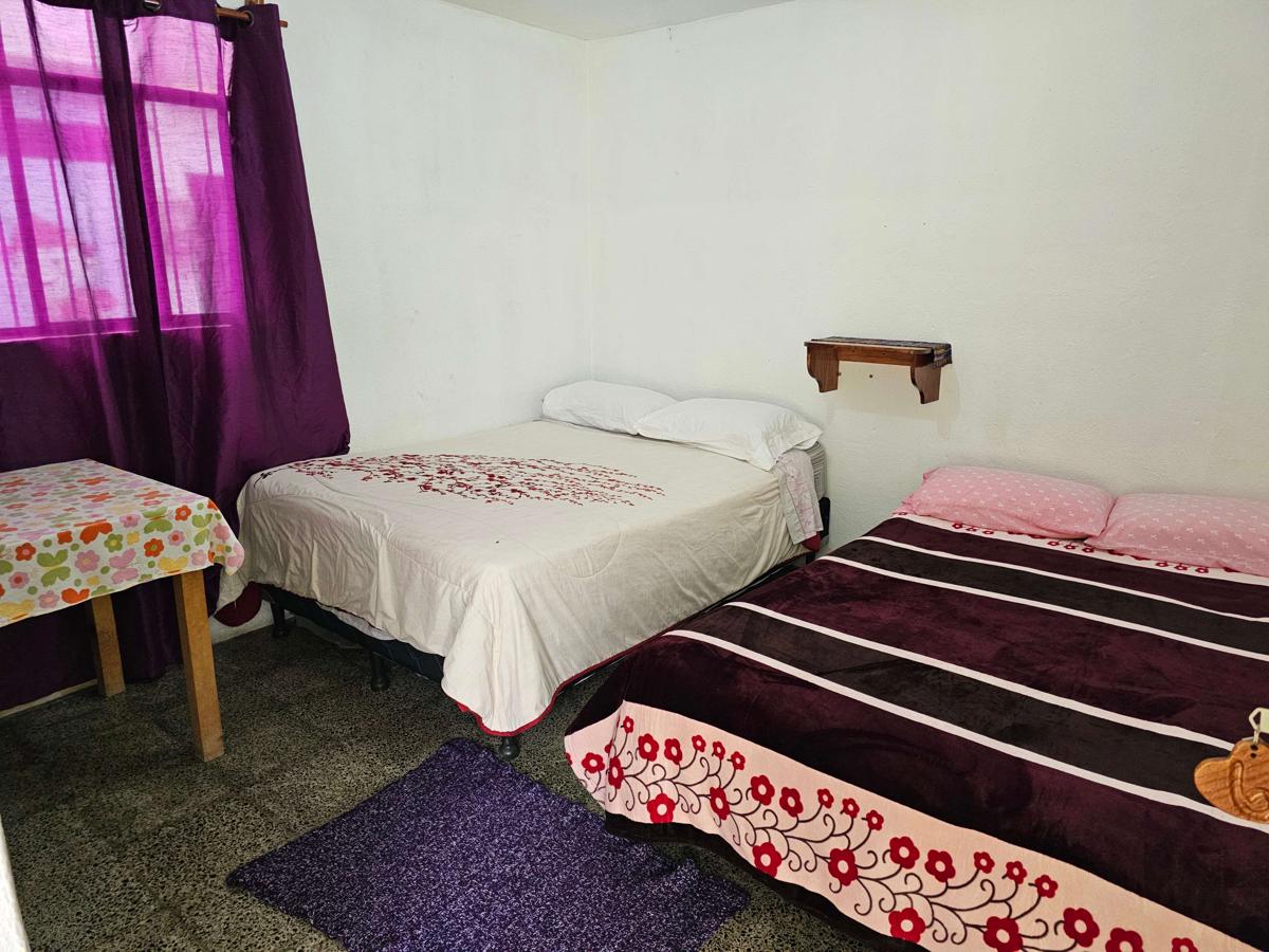 Hostal The Friends photo 4