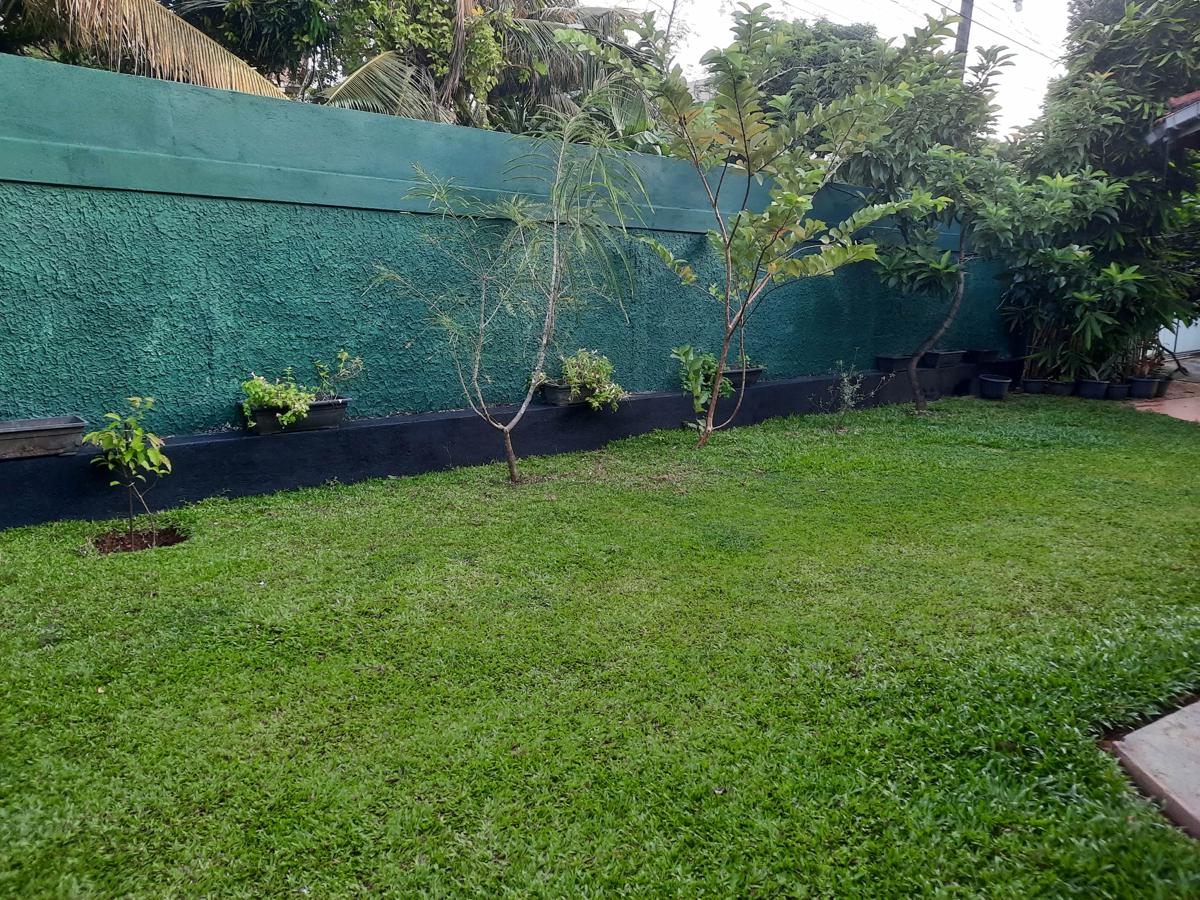 Leafy Green Cottage photo 4