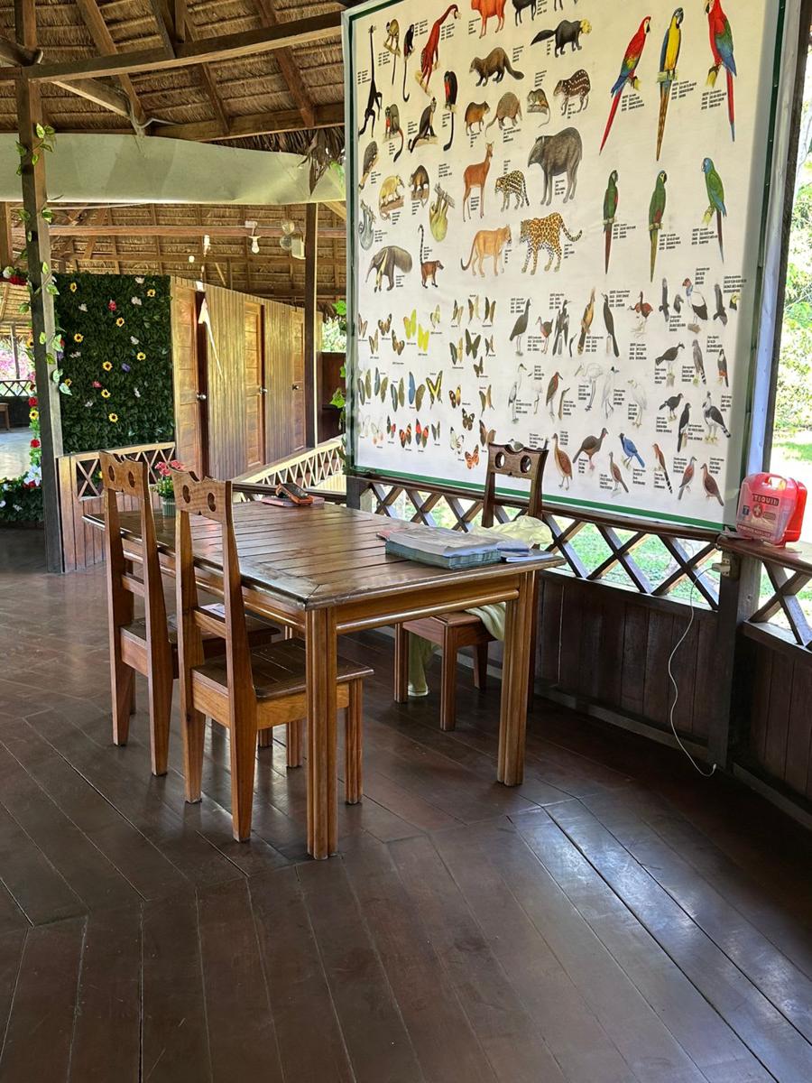 Capibara Hostel photo 2