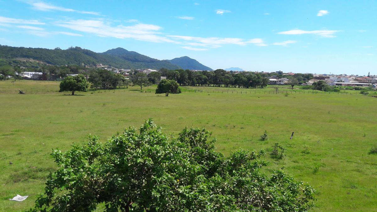 Hospedaria Green photo 4