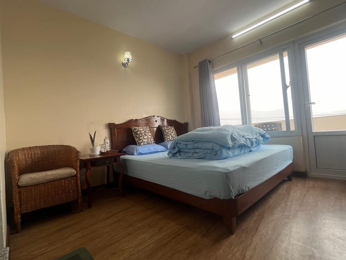 The Sparkling Turtle Backpackers Hostel photo 2