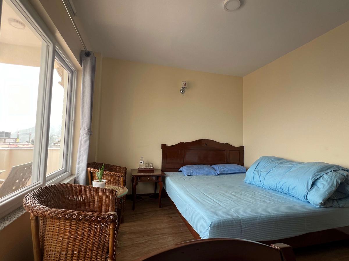 The Sparkling Turtle Backpackers Hostel photo 3