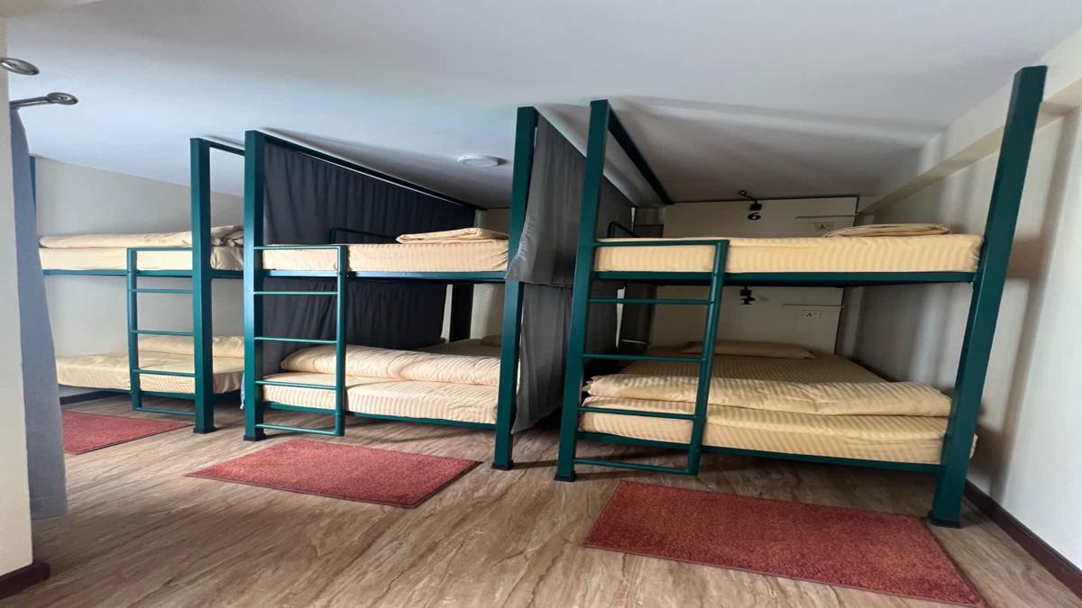 The Sparkling Turtle Backpackers Hostel photo 4
