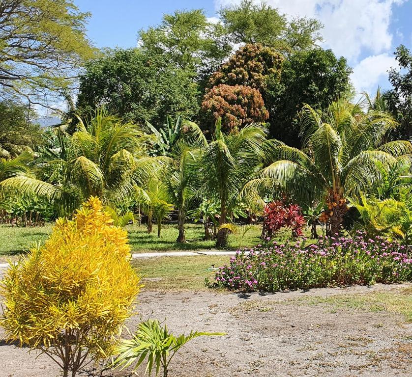 Rancho Tranquillo photo 1
