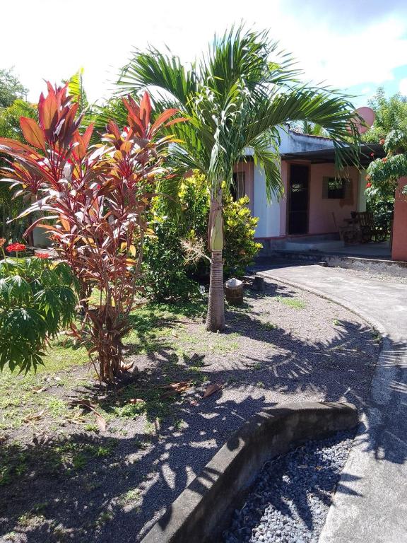 Rancho Tranquillo photo 4