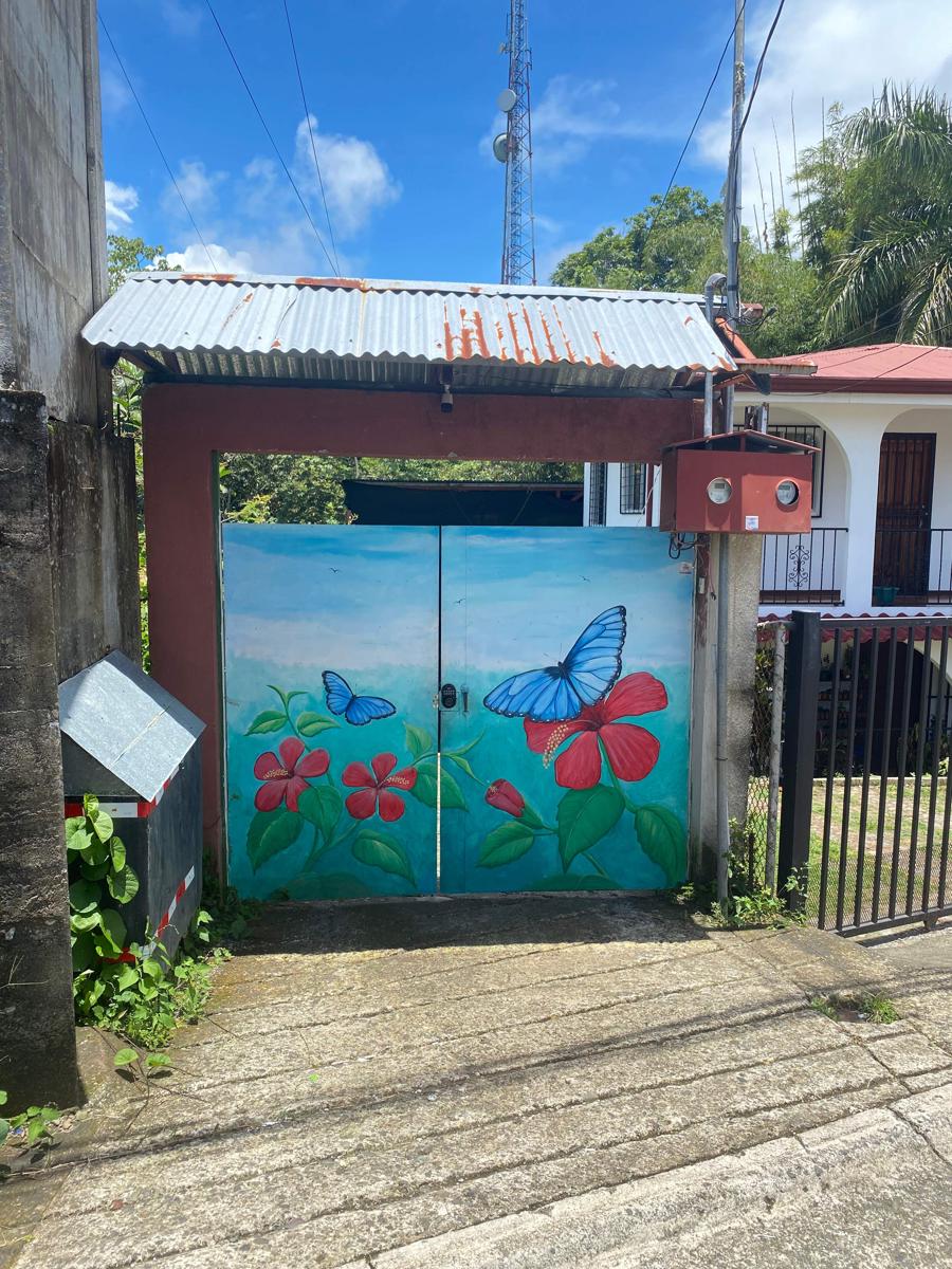 Blue Morpho House Hostel photo 1