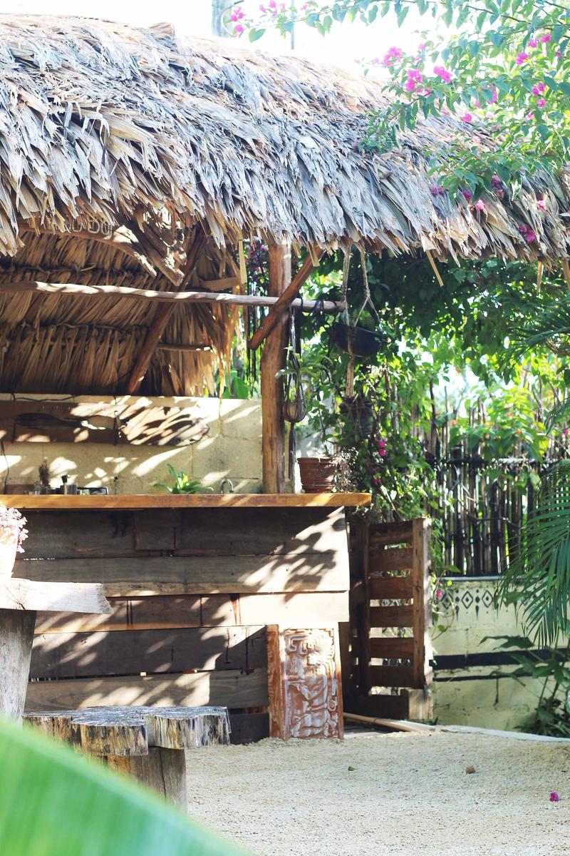 Jungla Bacalar photo 3