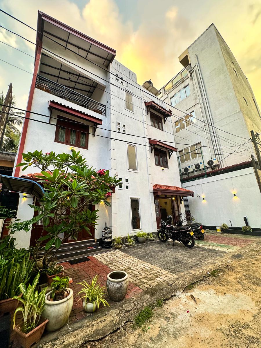 New Panda House photo 3