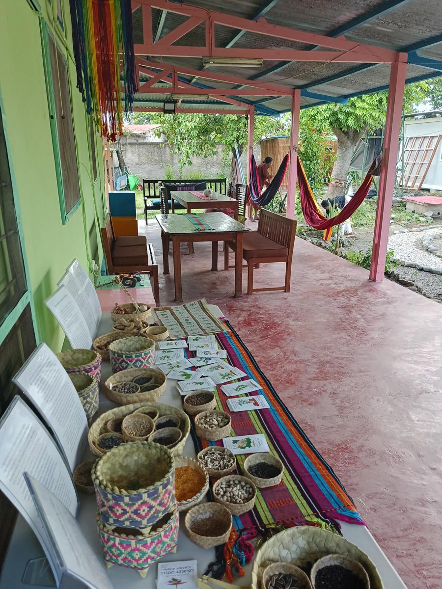 DaTerra VilaVerde photo 2