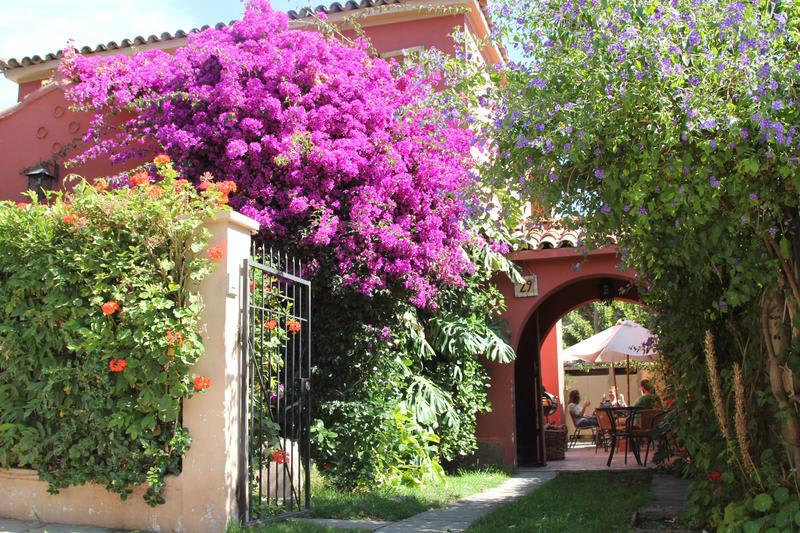Hostal El Arbol photo 1