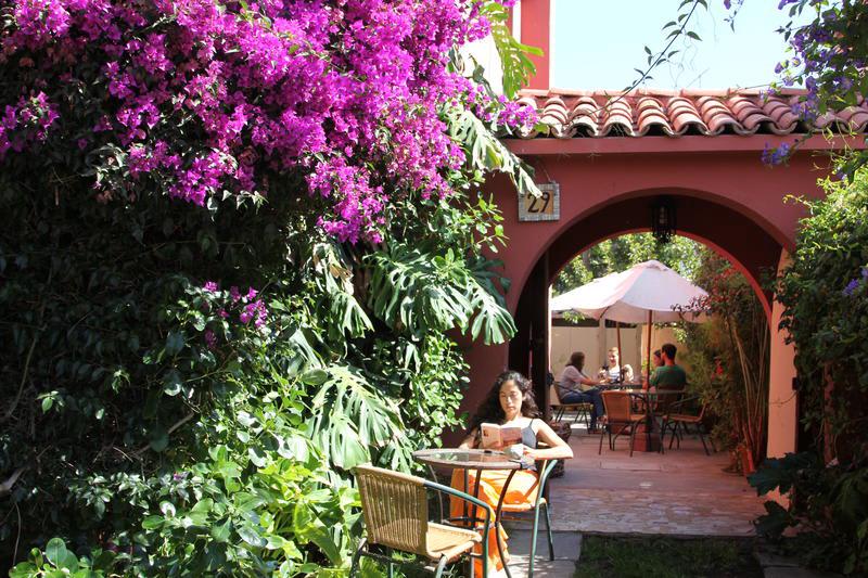 Hostal El Arbol photo 2