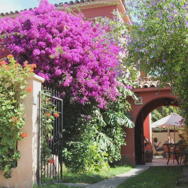 Hostal El Arbol photo 5