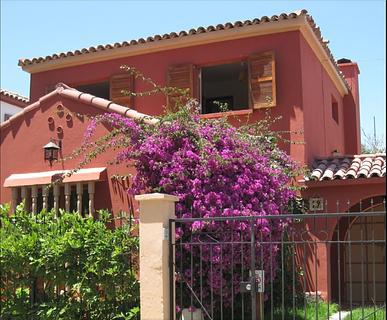 Hostal El Arbol photo 6