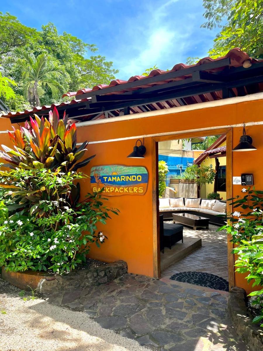 Tamarindo Backpackers photo 1