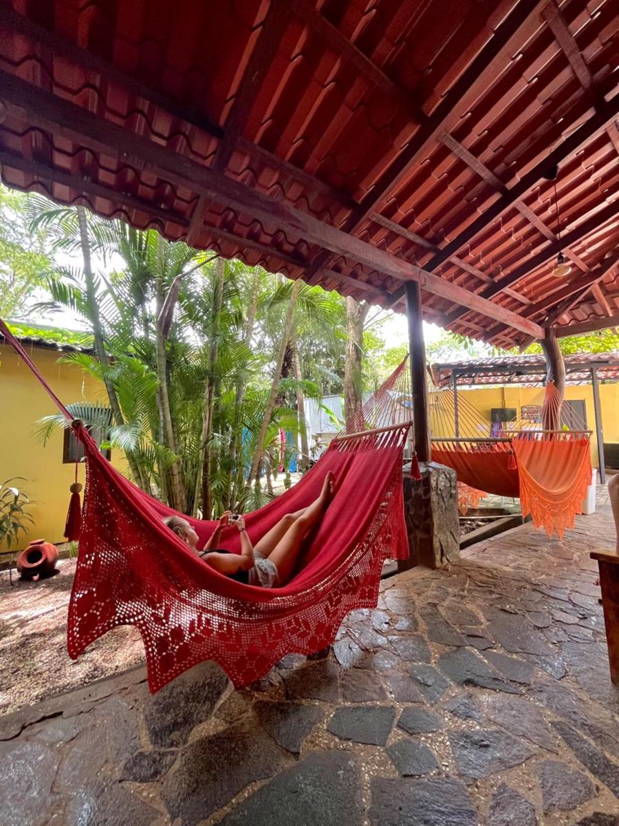 Tamarindo Backpackers photo 2
