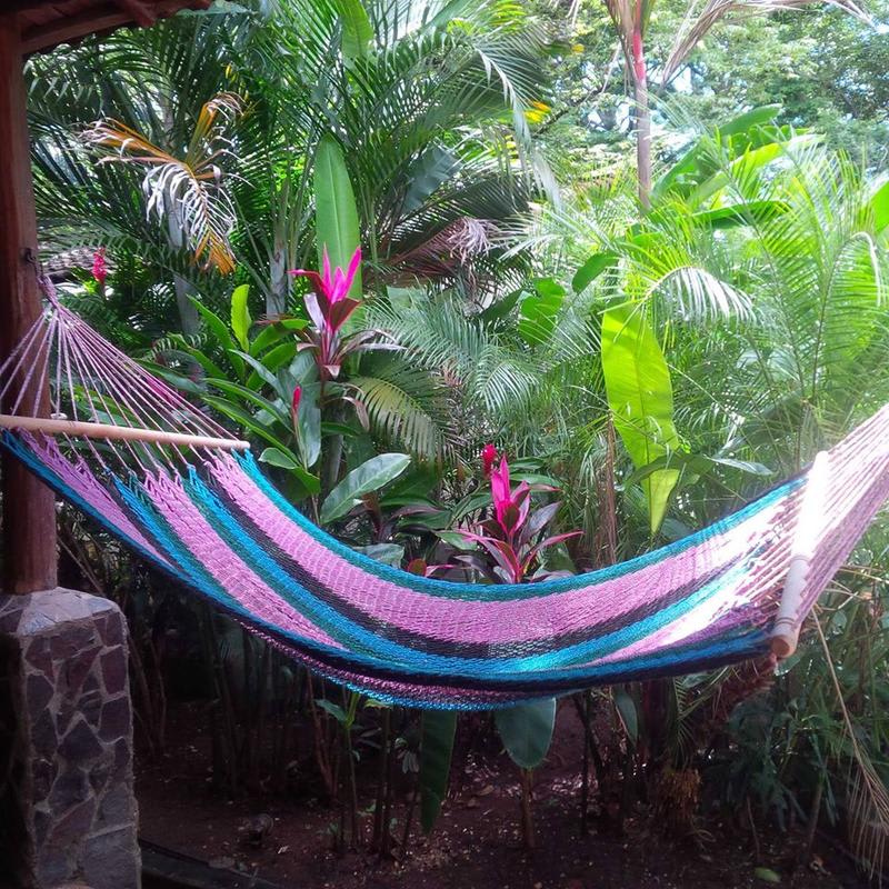 Tamarindo Backpackers photo 3