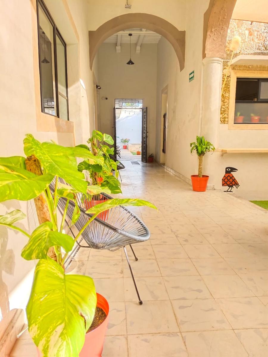 Kambal Pergrino photo 3