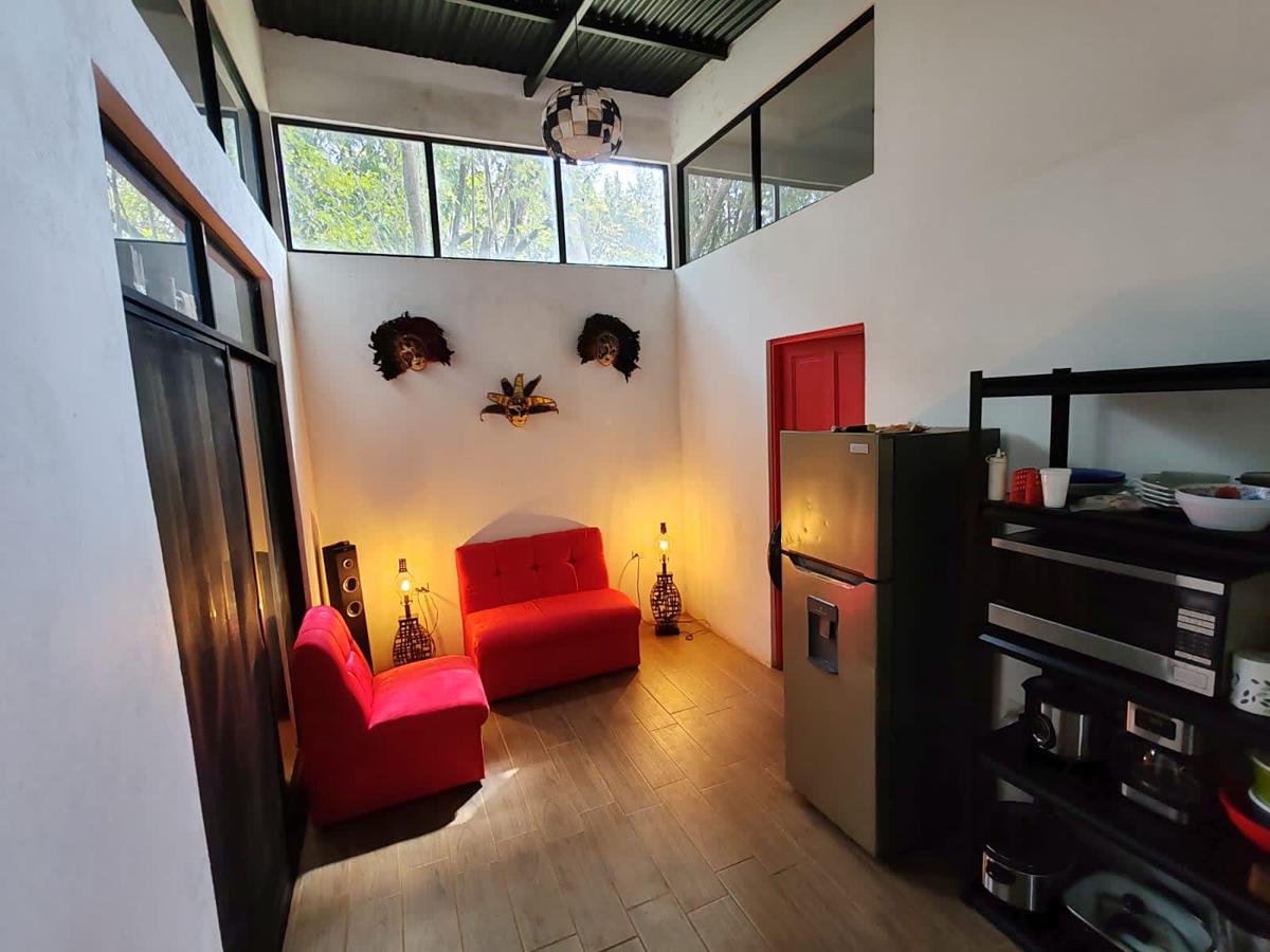 Howler Monkey Hostel photo 3
