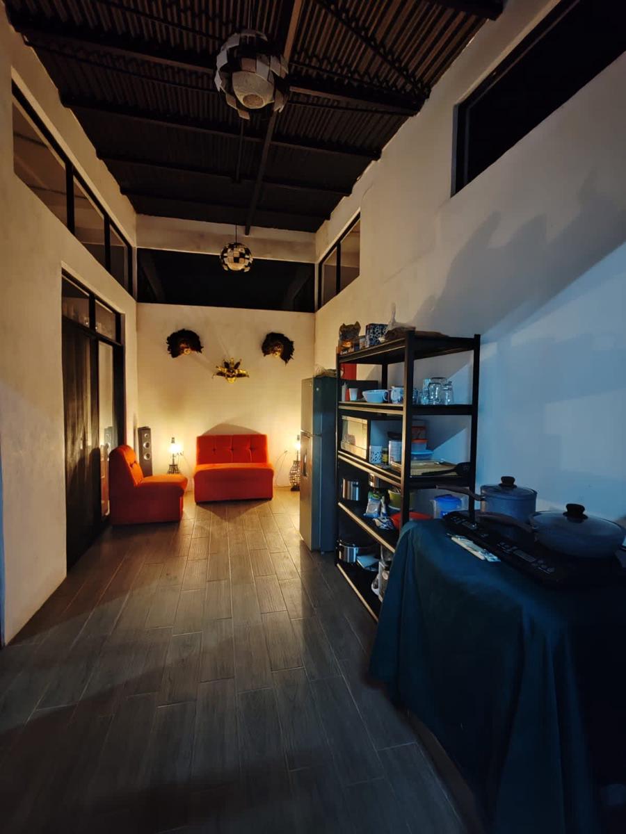 Howler Monkey Hostel photo 4