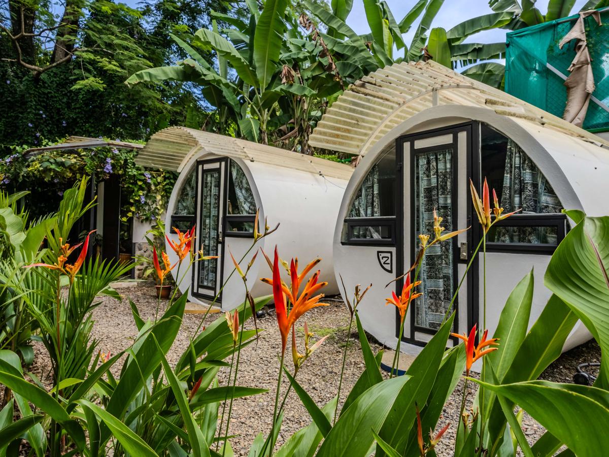 Koru Bio Hostel photo 1