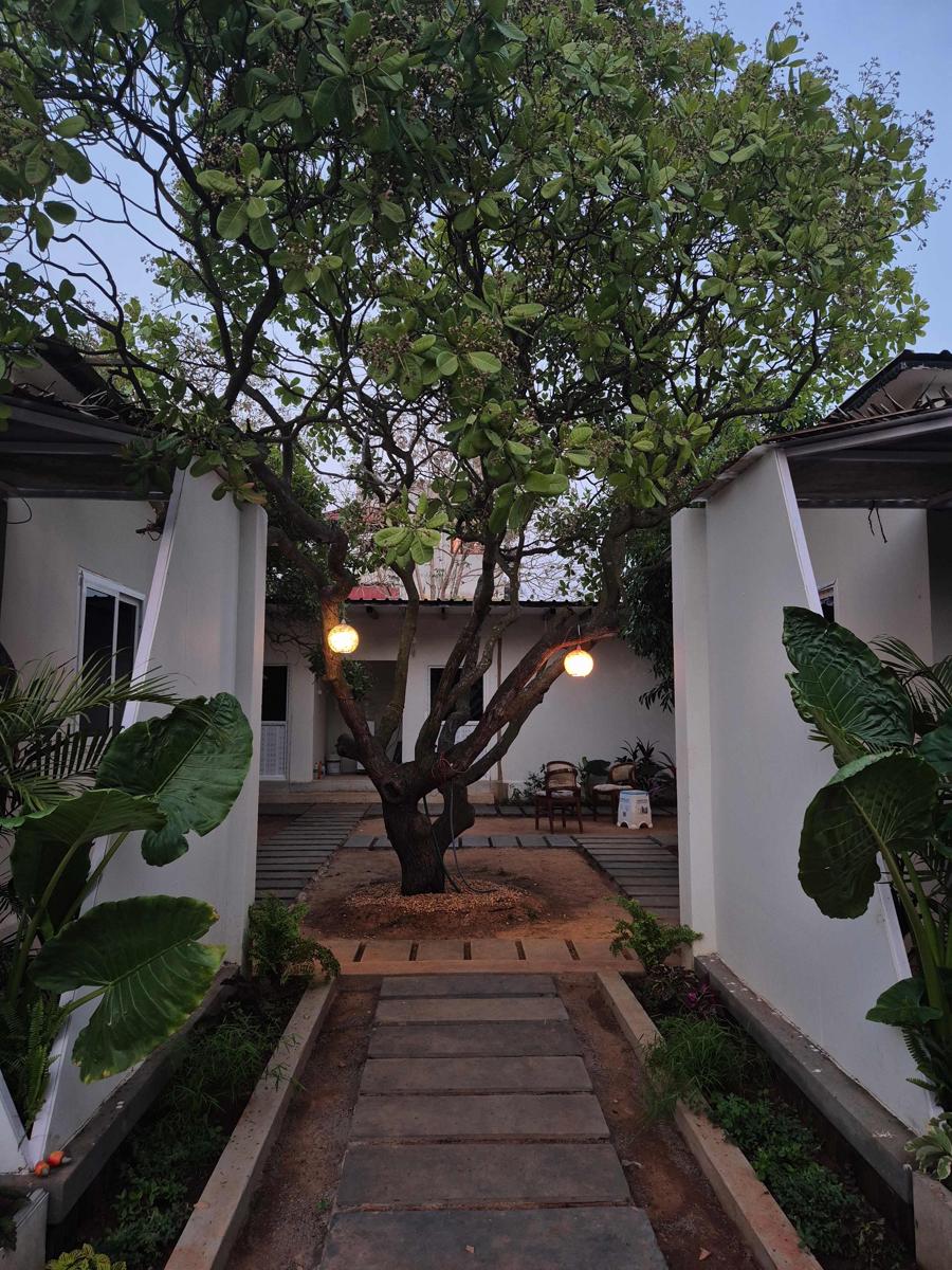 Zomad Hostels photo 1