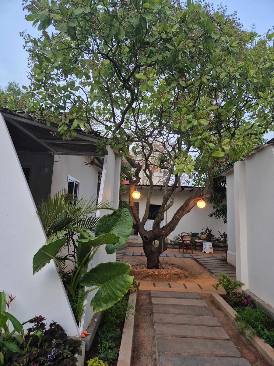 Zomad Hostels photo 4