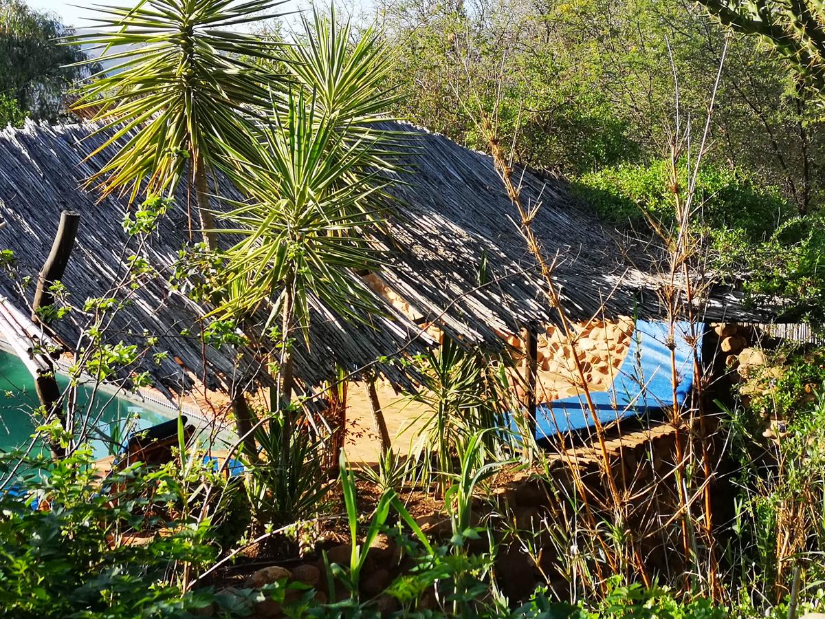 Amber Lagoon photo 4