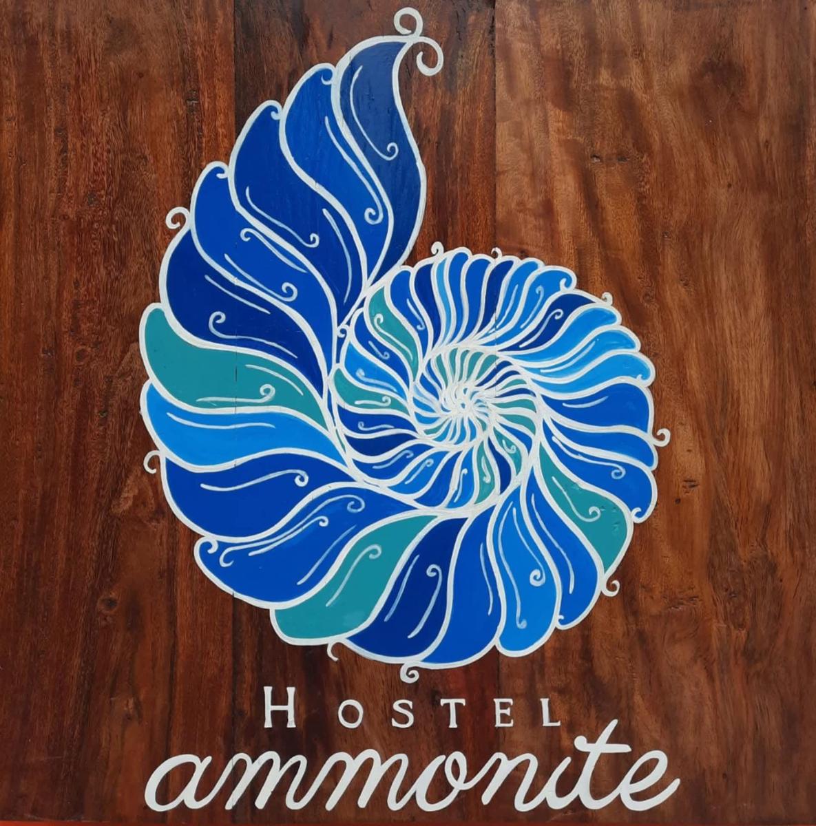 Ammonite Hostel - Itacare photo 3