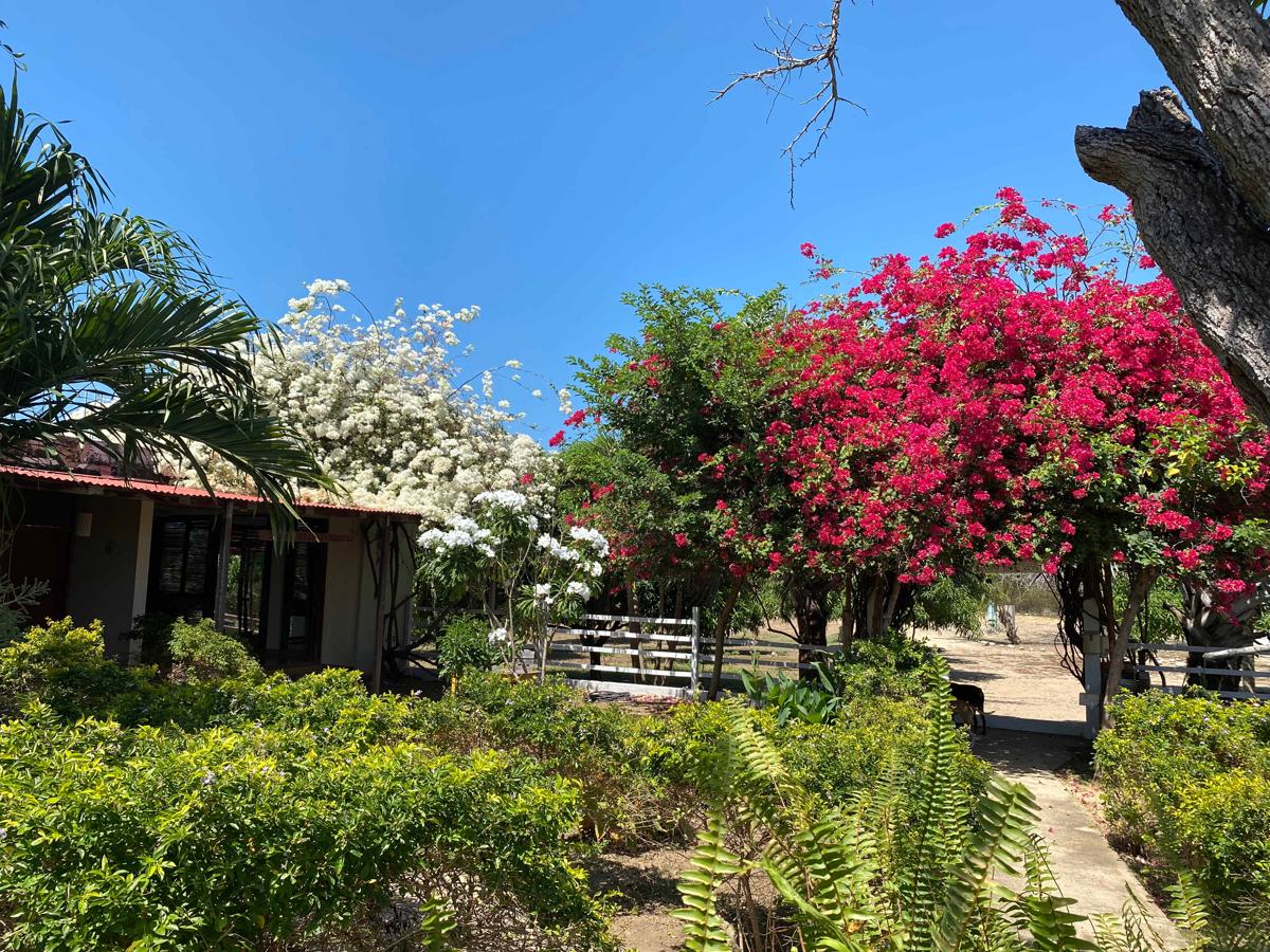 Coccoloba Beach Hostel photo 2