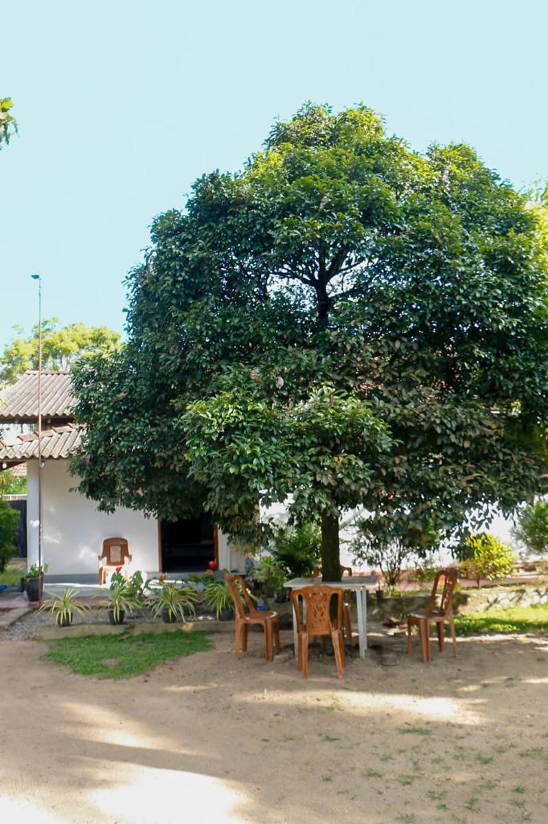 Dihein Surf Hostel photo 4