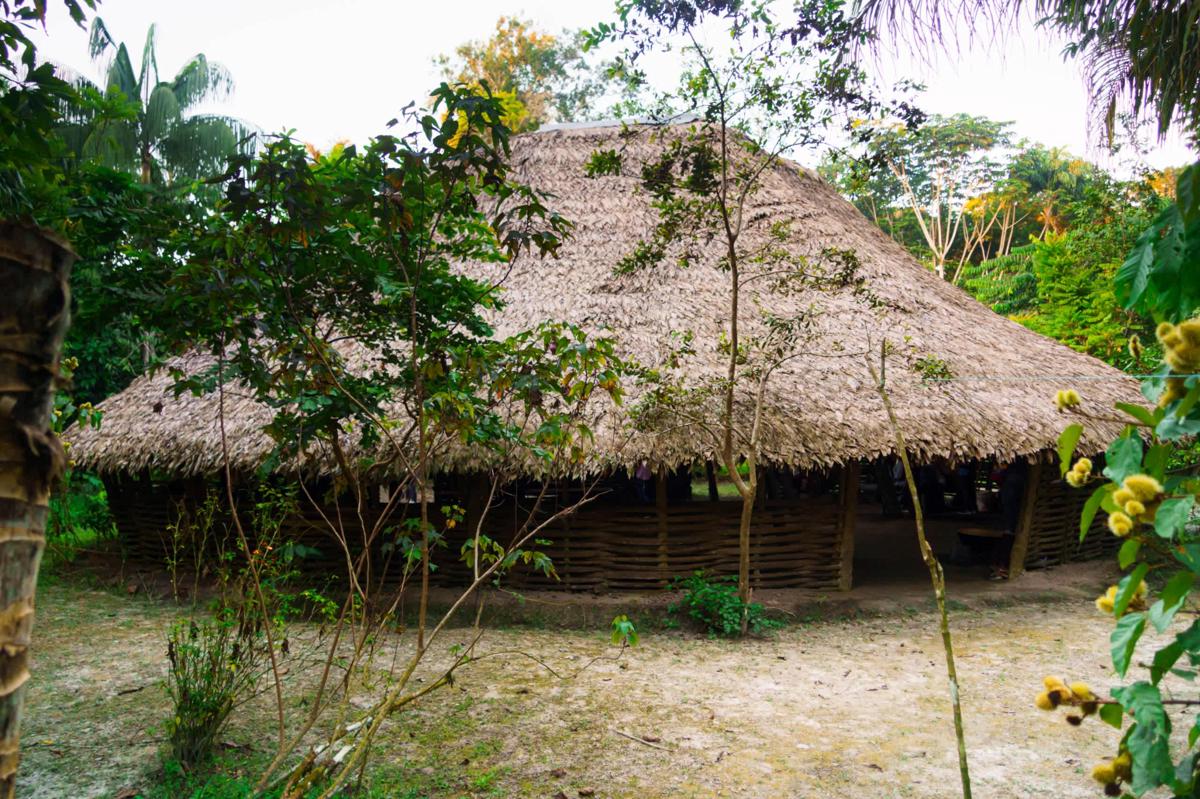 Eco Hostel RENASE photo 4