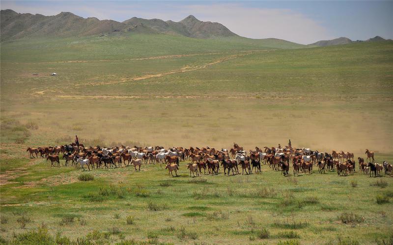 Sunpath Mongolia photo 1