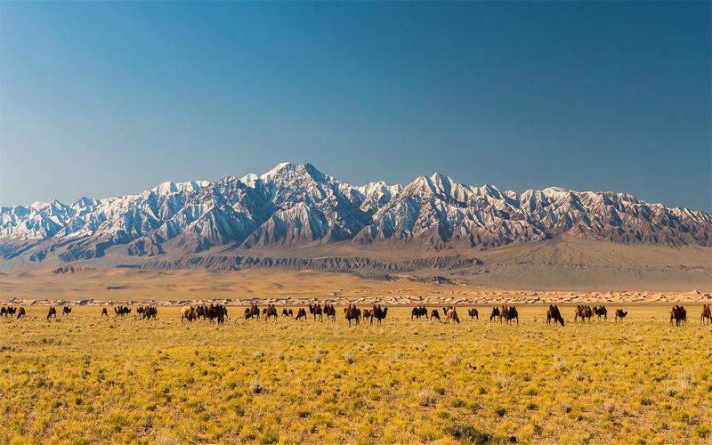 Sunpath Mongolia photo 2