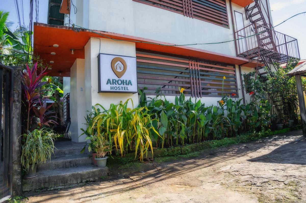 Aroha Hostel photo 3