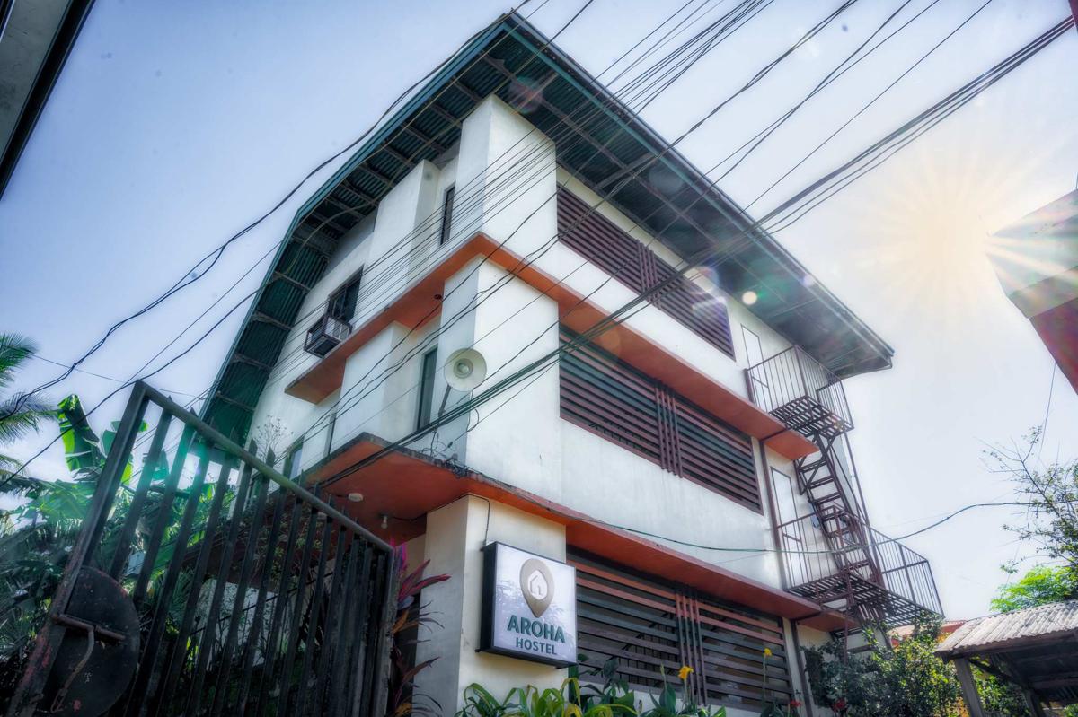 Aroha Hostel photo 4