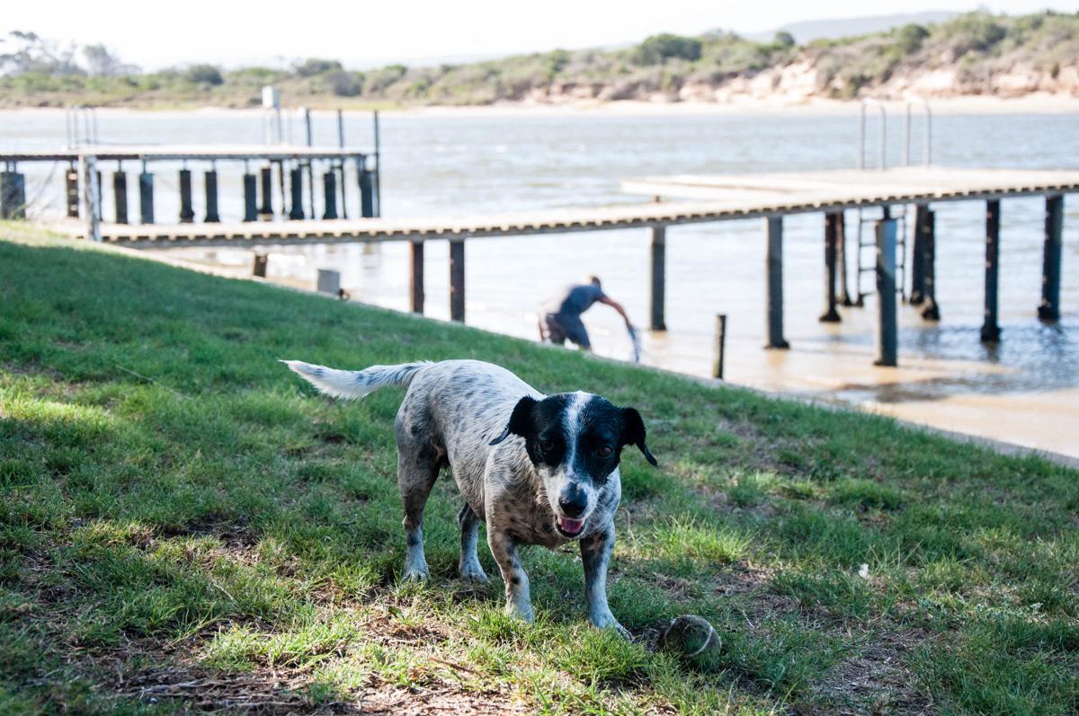 Riverfront Backpackers photo 3