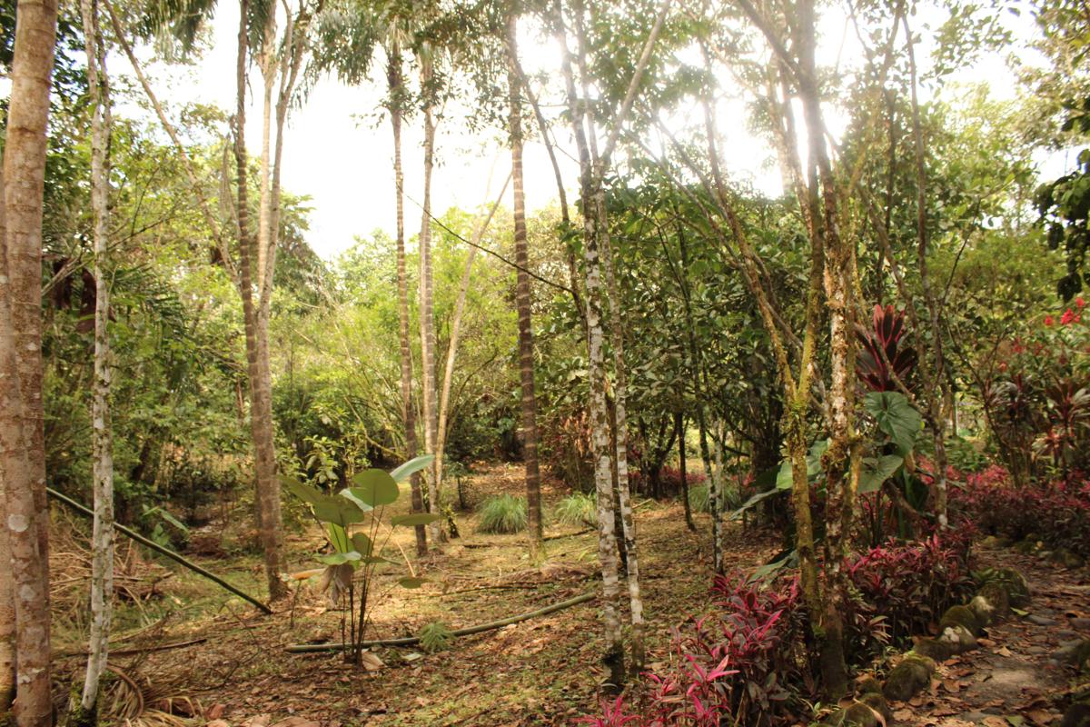 Finca la Argentina photo 2