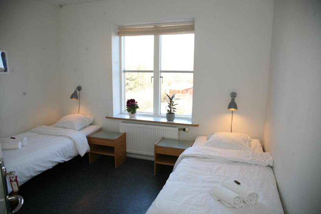 Nexo Hostel photo 4