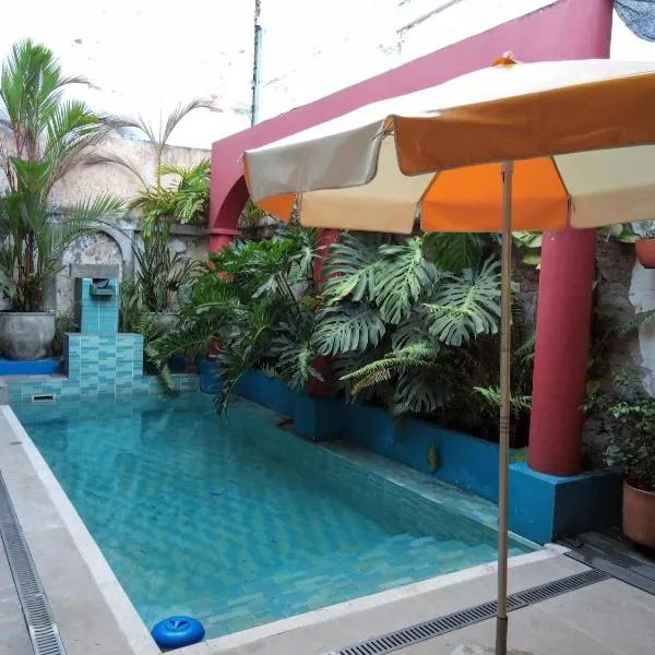 Heliconia photo 5