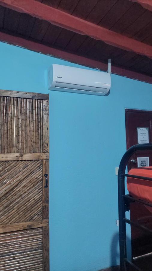 Coco House Leon photo 6