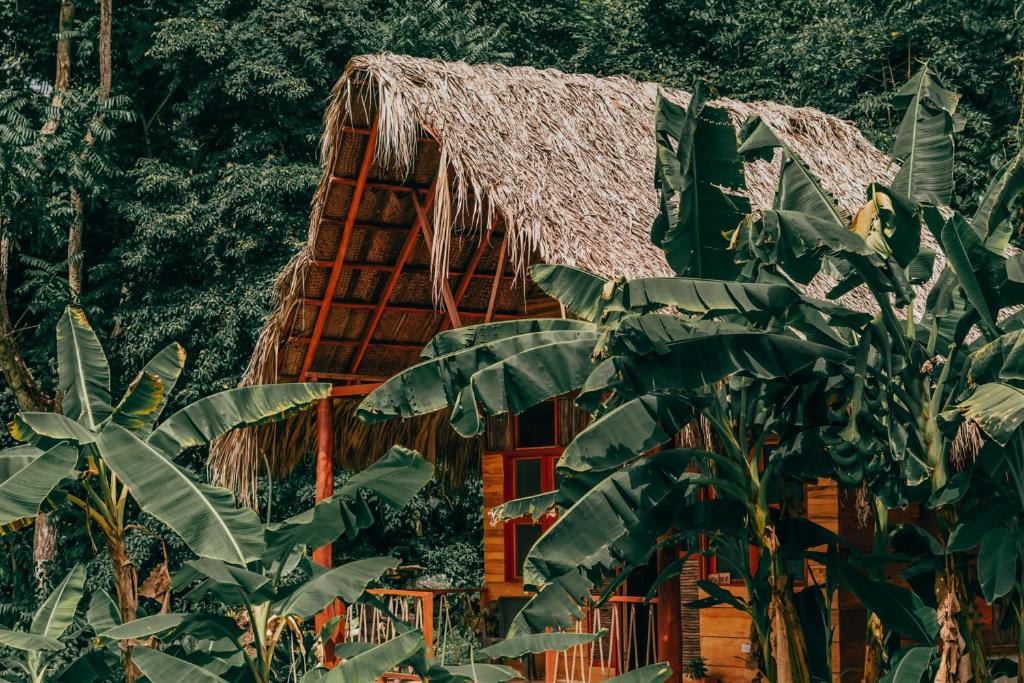 Magic Green Tayrona photo 1