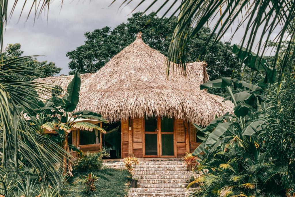 Magic Green Tayrona photo 2