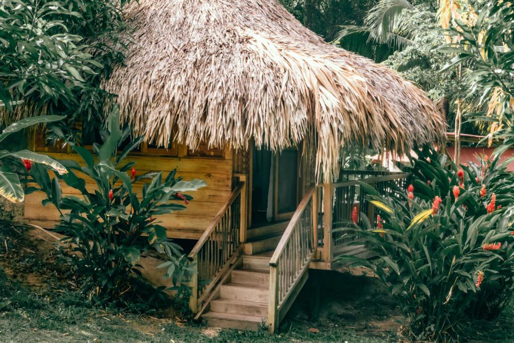 Magic Green Tayrona photo 4