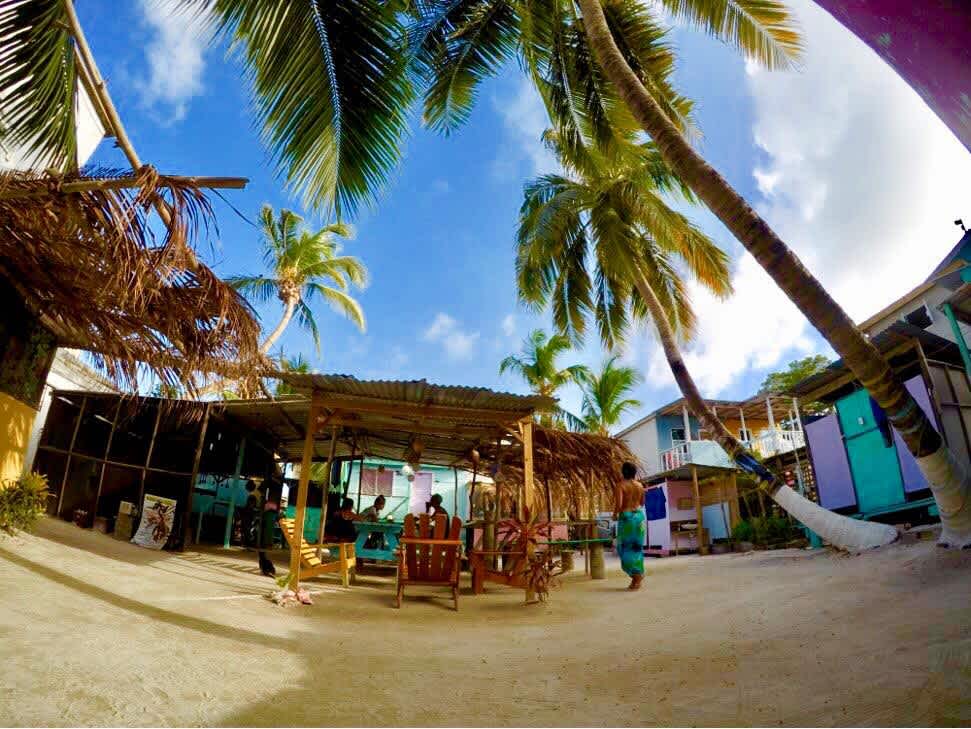 Tropical Oasis photo 1