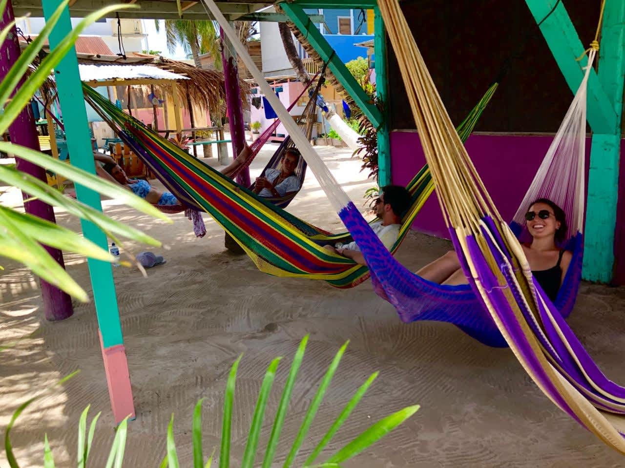 Tropical Oasis photo 2