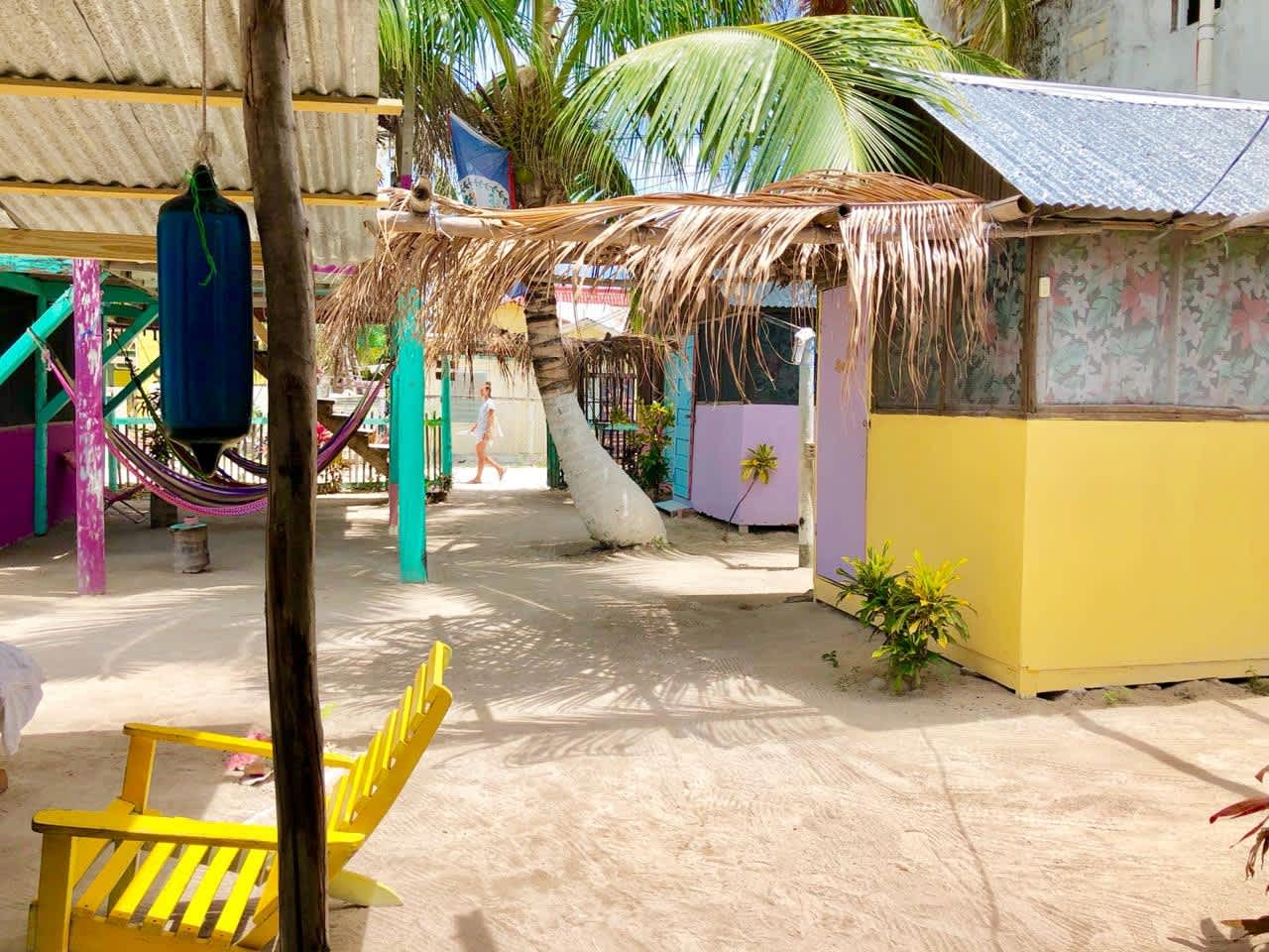 Tropical Oasis photo 3