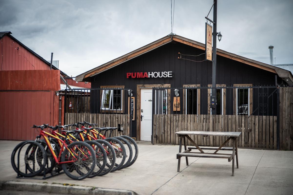 Puma House photo 1